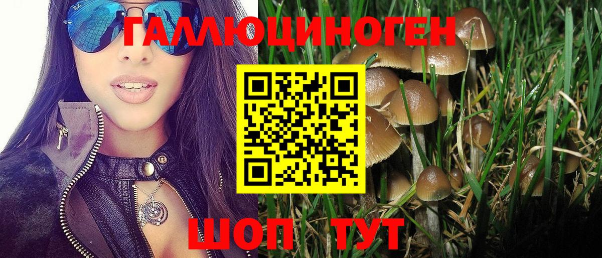 Галлюциногенные грибы Magic Shrooms Кузнецк